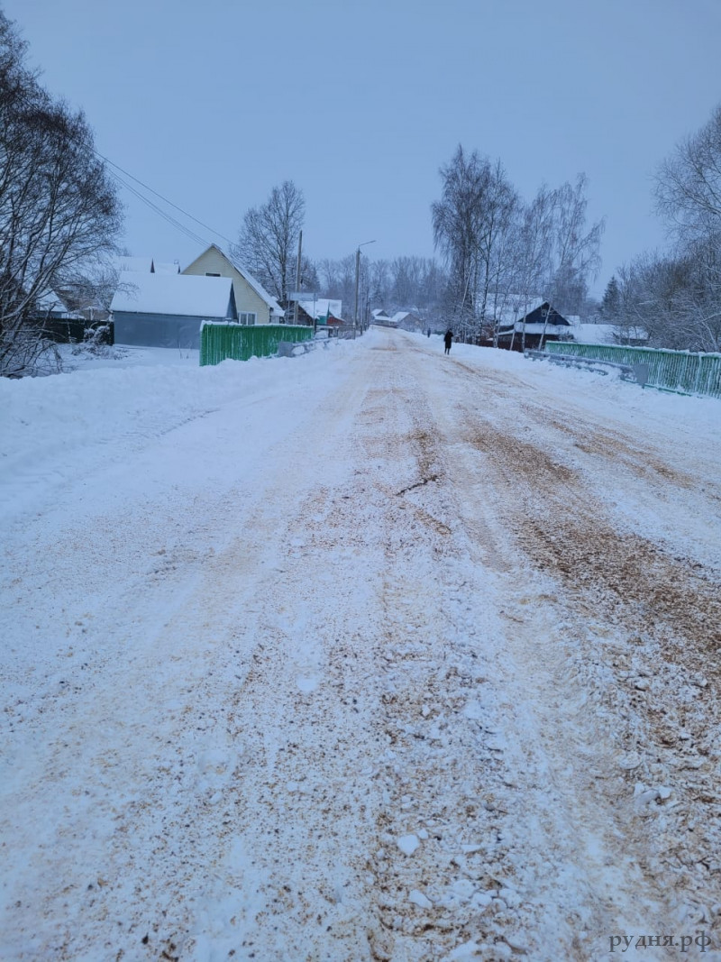 В городе Рудне открыли мост через приток реки Малая Березина по улице  Егорова | 30.11.2023 | Рудня - БезФормата